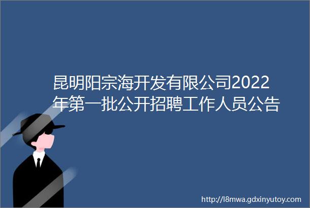 昆明阳宗海开发有限公司2022年第一批公开招聘工作人员公告